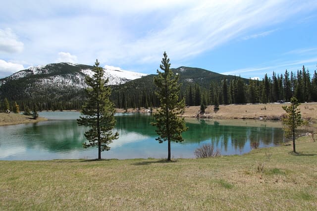 صورة من Forgetmenot Pond: بركة جبلية ونزهة قصيرة، ٤ من ١٦