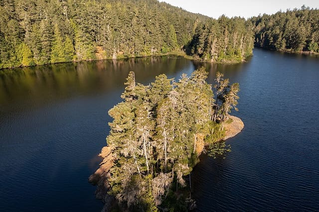 صورة من Matheson Lake: بحيرة ومسار غابي دائري، ٢ من ١١
