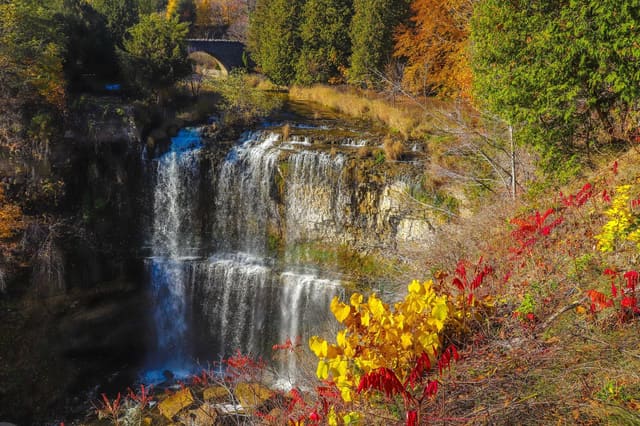 صورة من Webster Falls: شلال وجسر حجري في Spencer Gorge، ١ من ٧