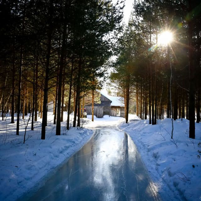 صورة من Domaine Enchanteur: غابة وحيوانات وتجارب موسمية، ٥ من ٢٠