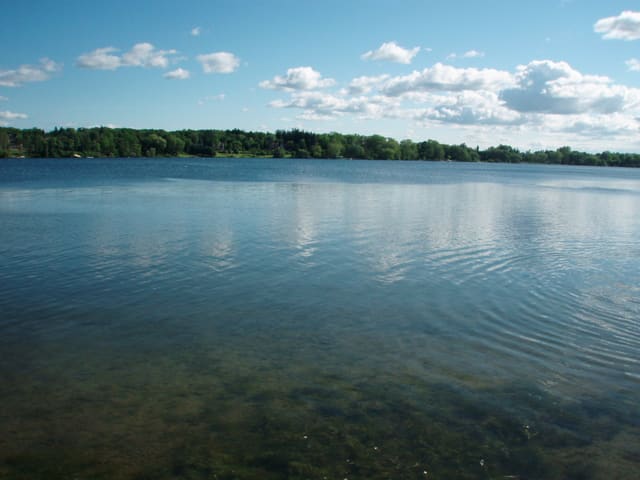 صورة من Lake Wilcox Park: ممشى وحدائق على البحيرة، ٤ من ٧