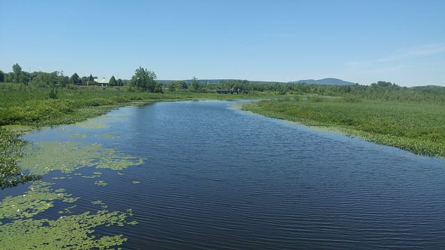 صورة من Marais de la Rivière-aux-Cerises: ممرات فوق المستنقع، ٢ من ١٩