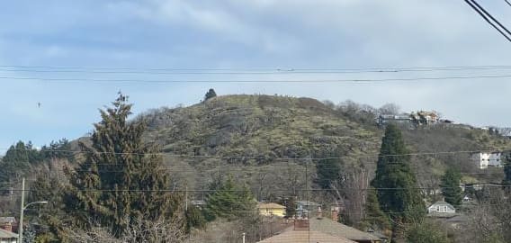 صورة من Mount Tolmie: قمة بإطلالة على المدينة، ٣ من ٩