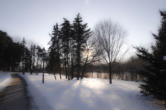 صورة من Fairy Lake Park: مشي حول البحيرة وجسورها، ٢ من ٦