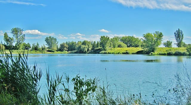 صورة من Parc des Rapides: مراقبة الطيور ومناظر النهر، ٣ من ١٥