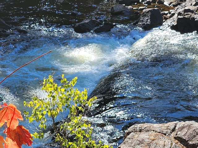 صورة من Chutes-Dorwin وMonte-à-Peine: شلالات Lanaudière في كل الفصول، ١ من ٣٢