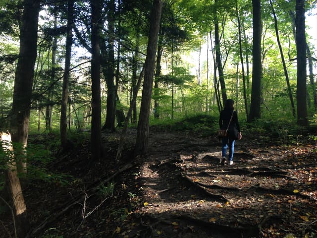 صورة من Komoka Provincial Park: ممرات على ضفاف Thames، ١ من ١