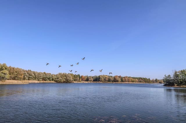 صورة من Valens Lake: مسارات غابة وممر فوق الأرض الرطبة، ٦ من ١٣