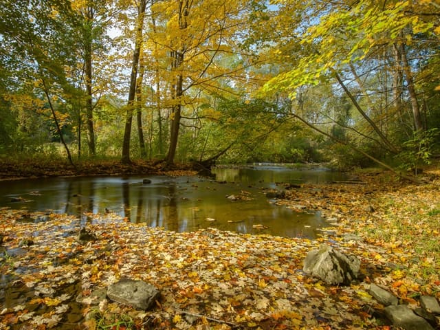 صورة من Crooks Hollow: آثار مطاحن ومسار على Spencer Creek، ٦ من ٦