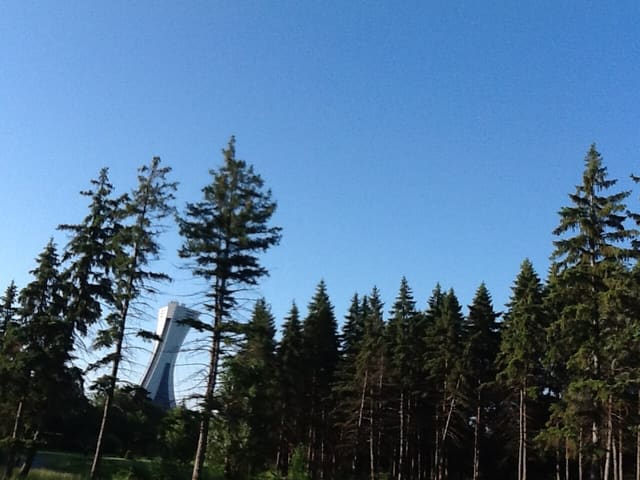 صورة من Parc Maisonneuve: مساحات خضراء ومسار للمشي، ٨ من ١٥