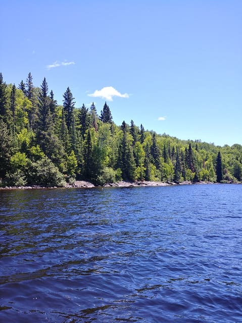 صورة من Lac Taureau: مسار Baie-du-Milieu وإطلالات البحيرة، ٢ من ١٨