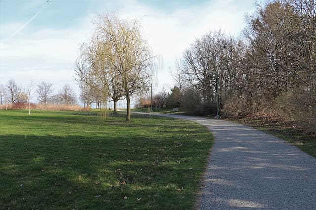 صورة من Rotary Park | Ajax Waterfront: مشي على واجهة Ajax المائية، ٧ من ١٠