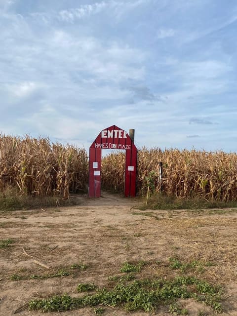 صورة من Hanes Corn Maze: متاهة الذرة وحيوانات المزرعة، ١ من ٦