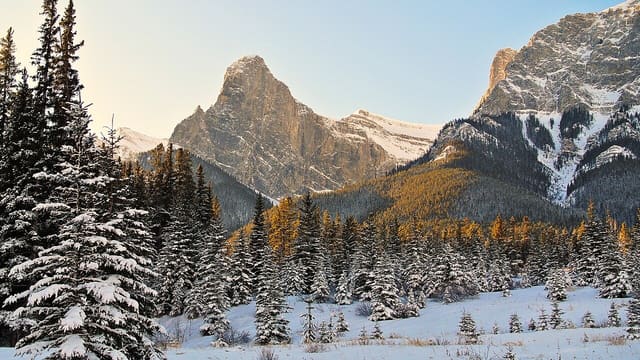 صورة من Canmore Nordic Centre: شبكة مسارات للمشي والدراجات والتزلج، ٢ من ٣
