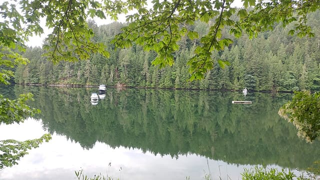 صورة من Gowlland Tod: غابة وممشى إلى Tod Inlet، ٣ من ٥