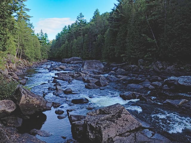 صورة من Forêt Ouareau: مشي في قطاع Massif، ٤ من ٢٤