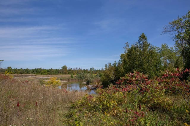صورة من Fletcher Creek: مستنقع ومحجر أعيد إلى الطبيعة، ١ من ٣