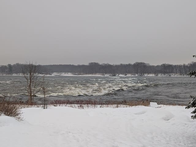 صورة من Parc des Rapides: مراقبة الطيور ومناظر النهر، ٥ من ١٥
