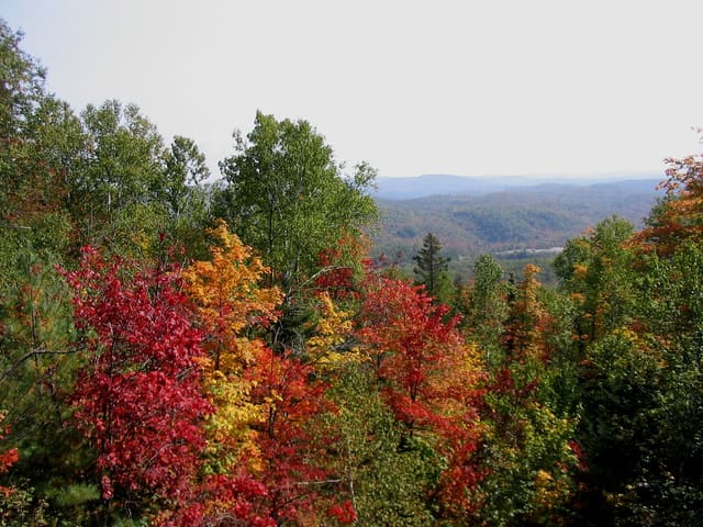 صورة من Forêt Ouareau: مشي في قطاع Massif، ٣ من ٢٤