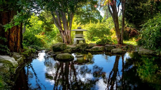 صورة من Esquimalt Gorge Park: حديقة يابانية وممر على الماء، ٣ من ٣