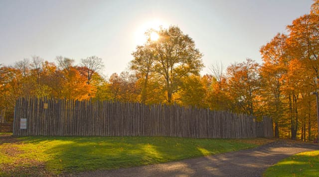 صورة من Museum of Ontario Archaeology: جولة في الآثار وموقع Lawson، ١ من ١