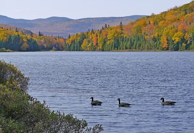 صورة من حديقة Mont-Tremblant الوطنية: بحيرة Monroe من الأعلى، ٦ من ٢٠