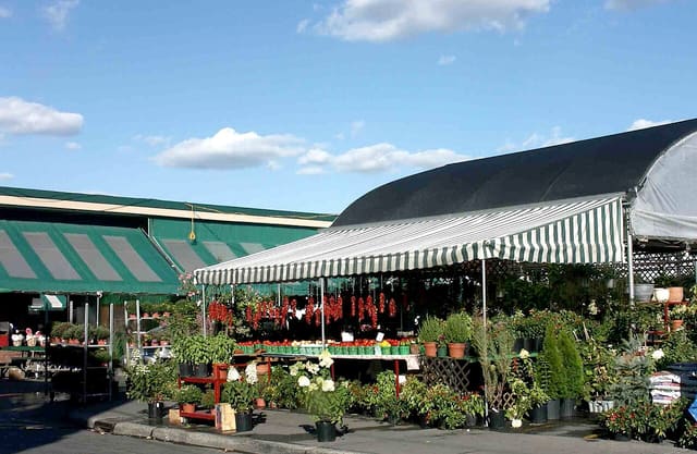 صورة من Marché Jean-Talon: سوق المزارعين في La Petite-Italie، ٥ من ١٥