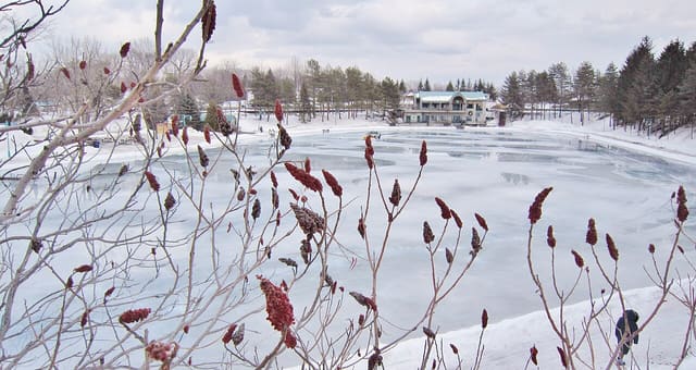 صورة من Centre de la Nature: مسارات مشي وحدائق ومناطق لعب، ٧ من ١٥