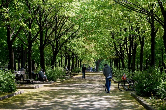 صورة من Parc La Fontaine: برك ونزهات في حي البلاتو، ٣ من ٢٣