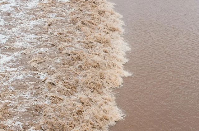 صورة من Riverfront Park: ممشى Petitcodiac وموجة المد، ٢ من ٢