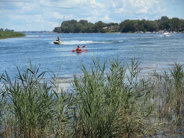 صورة من جزر Boucherville: دراجات وكاياك على نهر Saint-Laurent، ٧ من ١٥