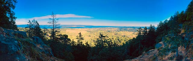 صورة من John Dean: أشجار قديمة ومسارات على Mount Newton، ٦ من ١٣
