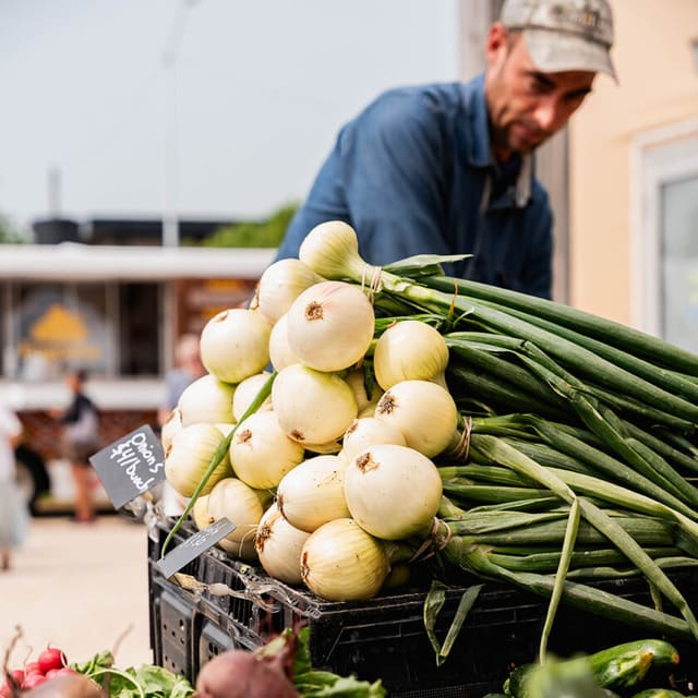 صورة من St. Norbert Farmers’ Market: منتجات محلية وسوق السبت، ١ من ١