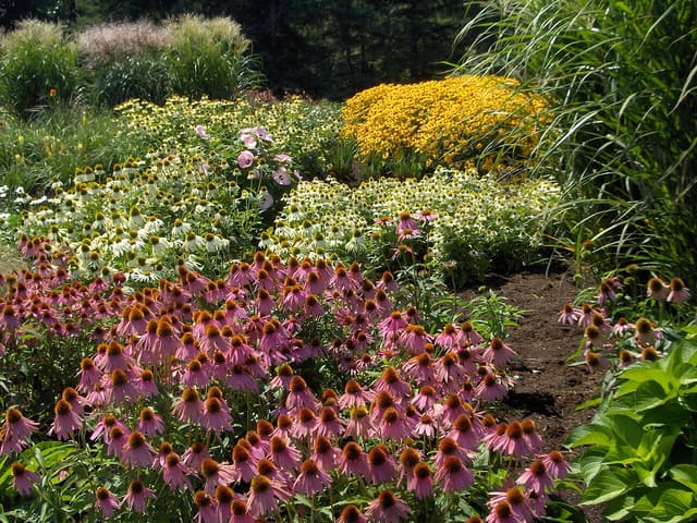 صورة من Centre de la Nature: مسارات مشي وحدائق ومناطق لعب، ٤ من ١٥