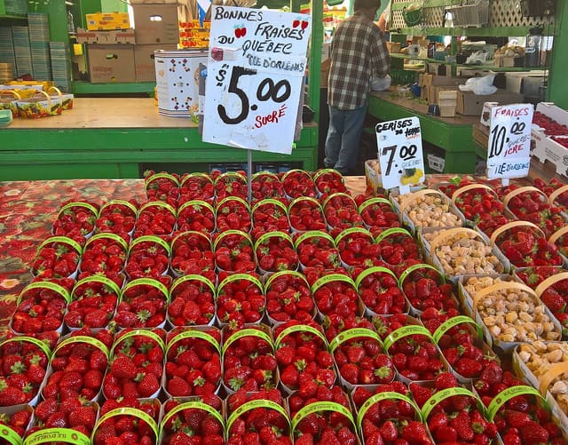 صورة من Marché Jean-Talon: سوق المزارعين في La Petite-Italie، ٨ من ١٥