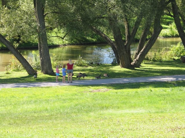 صورة من Fairy Lake Park: مشي حول البحيرة وجسورها، ٣ من ٦