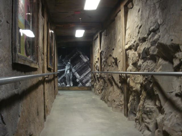 صورة من Earth Sciences Museum: ديناصورات ومعادن ونفق منجم، ٢ من ٢