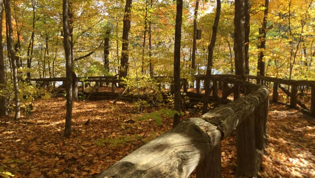 صورة من CIN Boisbriand: غابة وحدائق على النهر، ١ من ٩
