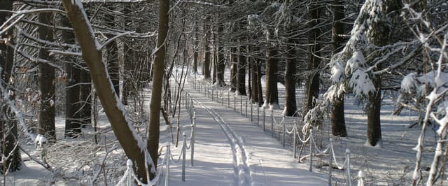 صورة من Riverwood: حدائق وغابات على نهر Credit، ٣ من ٣