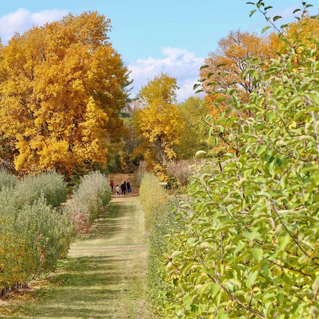 صورة من The Apple Orchard: قطف الثمار وجولة مزرعة، ١ من ٤