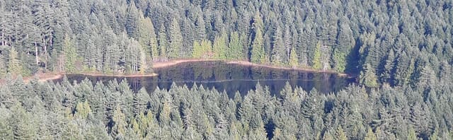 صورة من Lone Tree Hill: صعود إلى قمة تطل على Highlands، ٥ من ٦