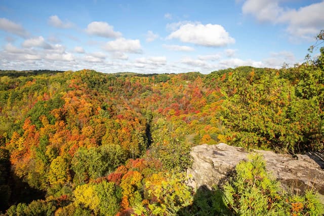صورة من Tew Falls وDundas Peak: شلال وإطلالة على الوادي، ٨ من ١١