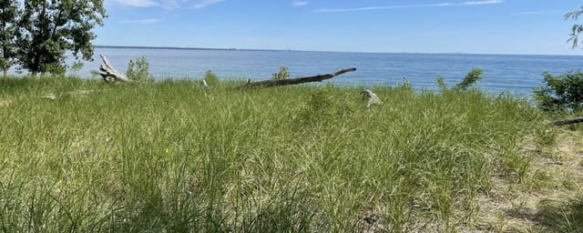 صورة من Confederation: شاطئ وممشى على Lake Ontario، ٢ من ١٥