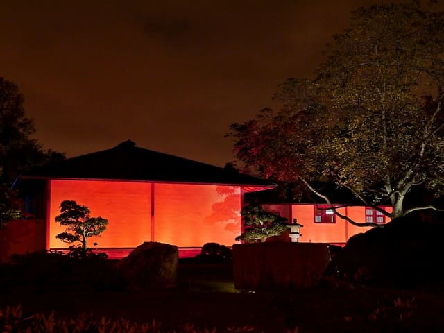صورة من Jardins de lumière: فوانيس الحديقة النباتية ليلاً، ٤ من ١٦