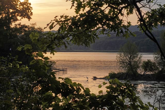 صورة من Princess Point: مسارات على ضفاف Cootes Paradise، ١ من ١