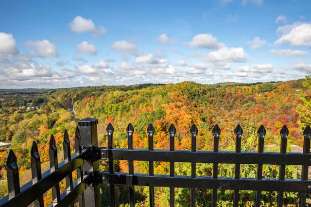 صورة من Tew Falls وDundas Peak: شلال وإطلالة على الوادي، ٧ من ١١