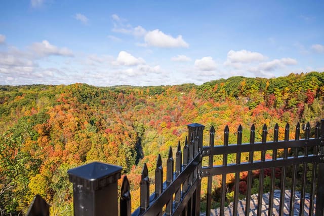 صورة من Tew Falls وDundas Peak: شلال وإطلالة على الوادي، ٦ من ١١