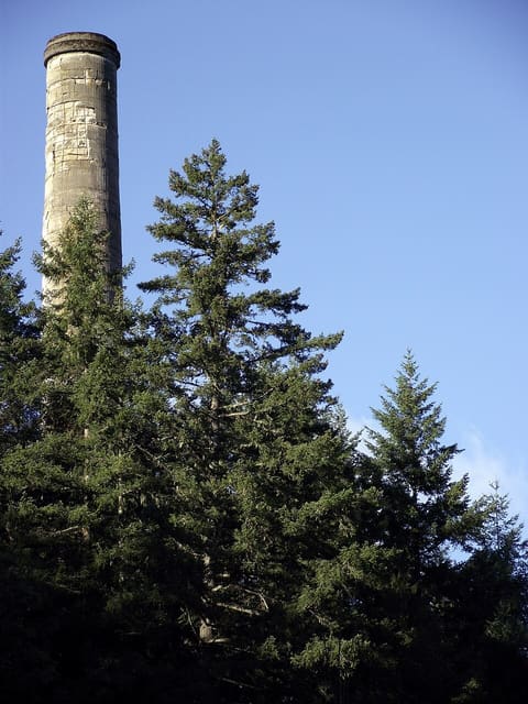 صورة من Gowlland Tod: غابة وممشى إلى Tod Inlet، ٢ من ٥