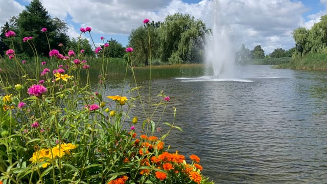 صورة من Parc Jarry: بركة وملاعب ومساحات للنزهة، ٣ من ١٥