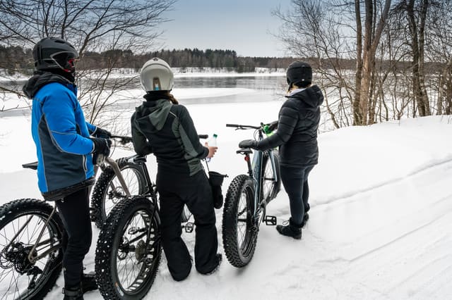 صورة من Extéria: مسارات معلّقة بين الأشجار في Drummondville، ٢ من ٦